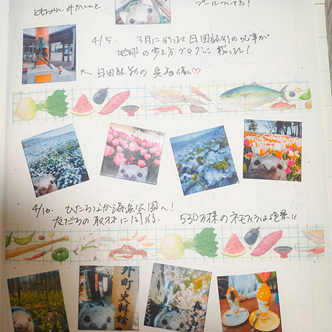 ひたちなか海浜公園のネモフィラは絶景