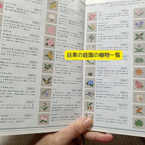 目黒の庭園の植物一覧