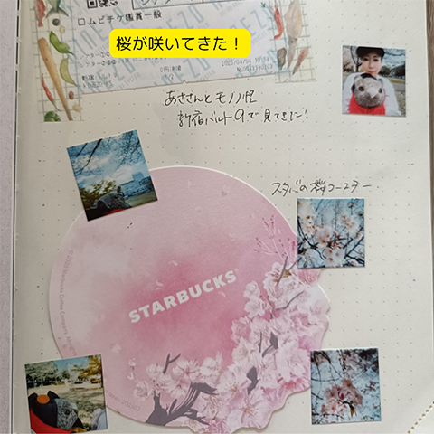 桜が咲いてきた！